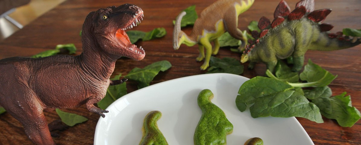 Insights 12 Food Skills Dinosaurs Extinct